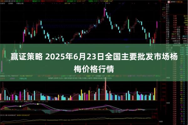 赢证策略 2025年6月23日全国主要批发市场杨梅价格行情